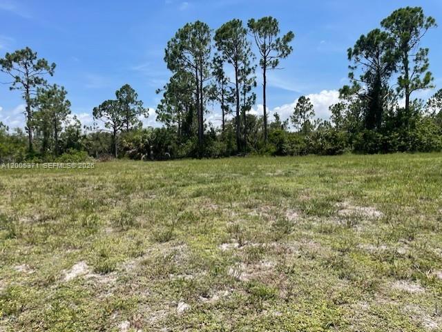 LARGE OVERSIZED CORNER LOT. THIS IS NOT COMMON SIZED LOT. 26,177 SF. Cape Coral is an excellent option to build the home of your dreams without the costs of big cities, in a nice neighborhood with no HOA! Exceptional developing area!! GO AND SEE IT DIRECTLY. DON'T MISS IT!! MOTIVATED OWNER. OPEN TO OFFERS.