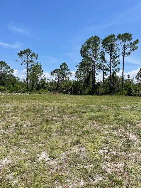 CAPE CORAL - Land