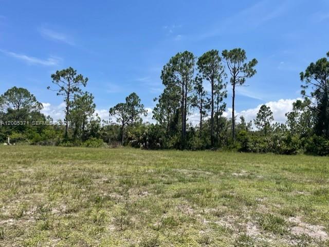 CAPE CORAL - Land