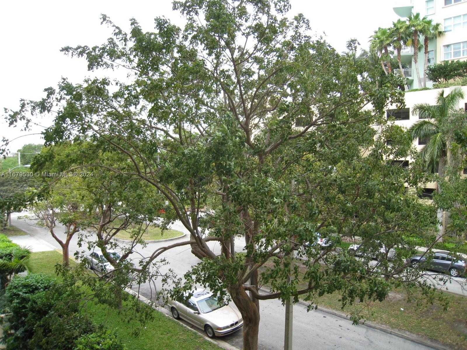 BRICKELL PARK CONDO - Residential Lease