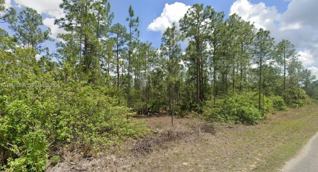 Lehigh Acres - Land