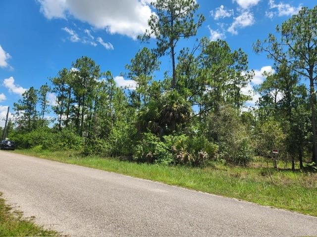 Lehigh Acres - Land