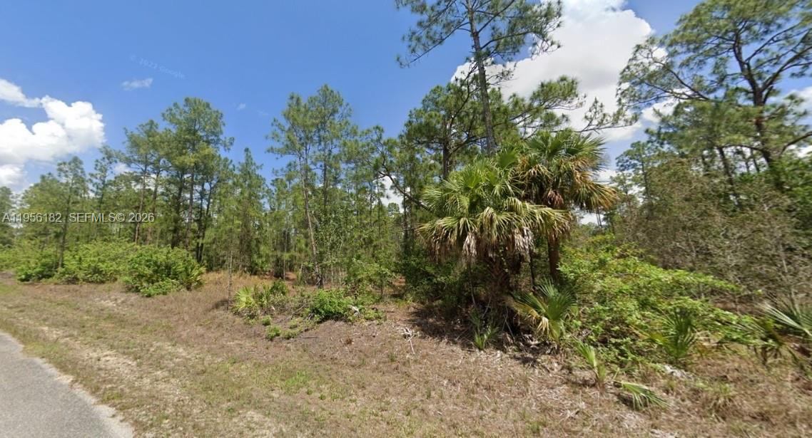 Lehigh Acres - Land