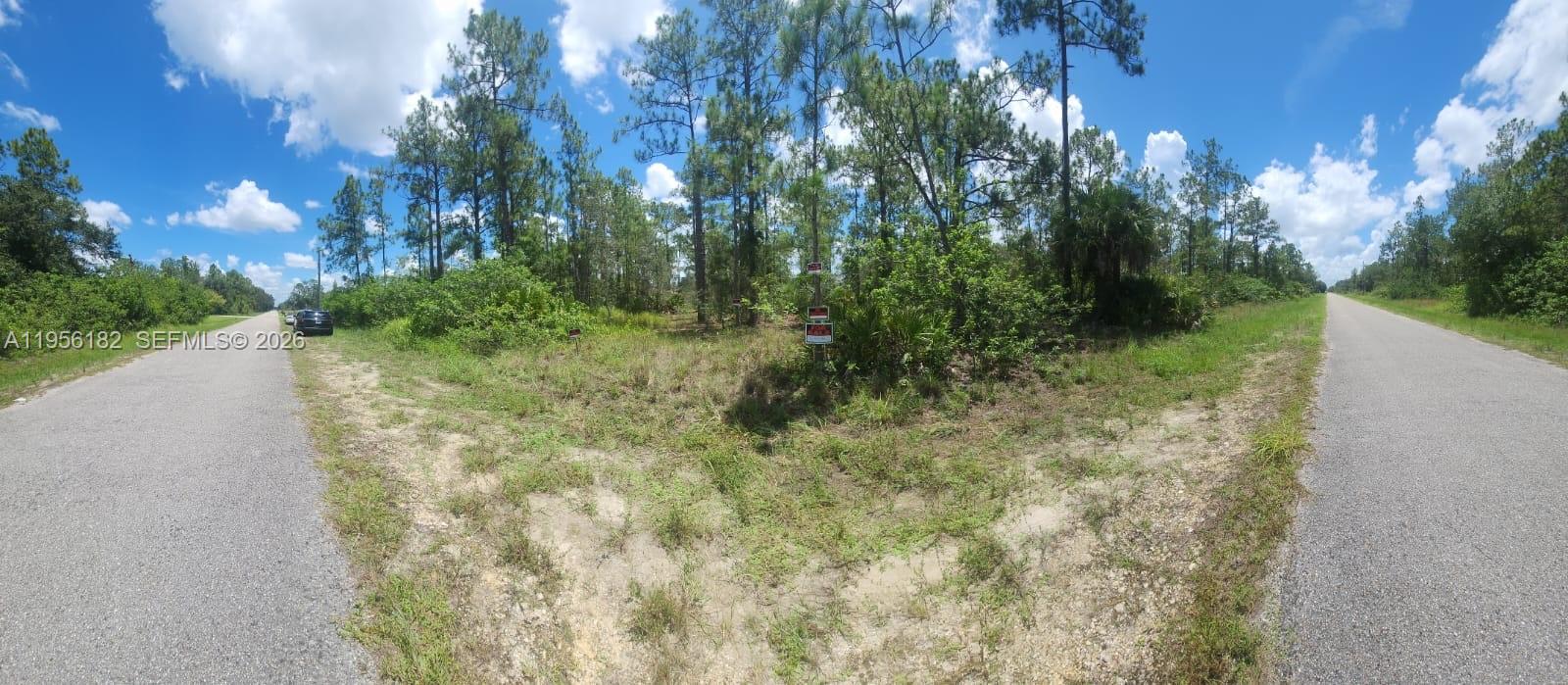 Lehigh Acres - Land
