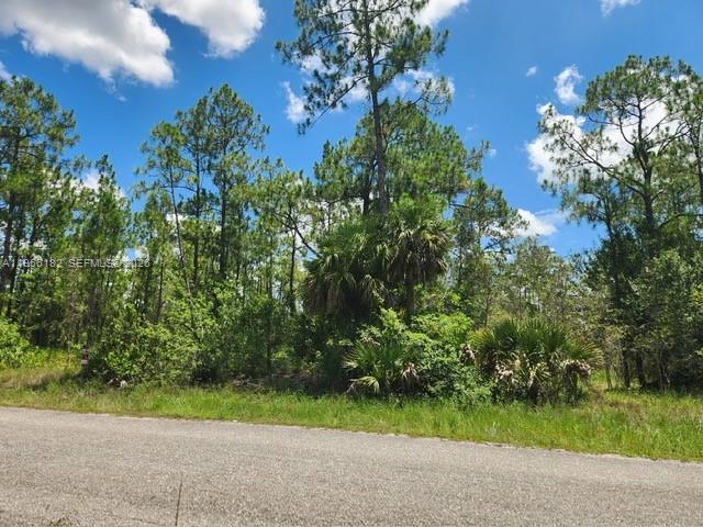 Lehigh Acres - Land