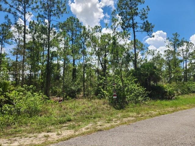 Lehigh Acres - Land