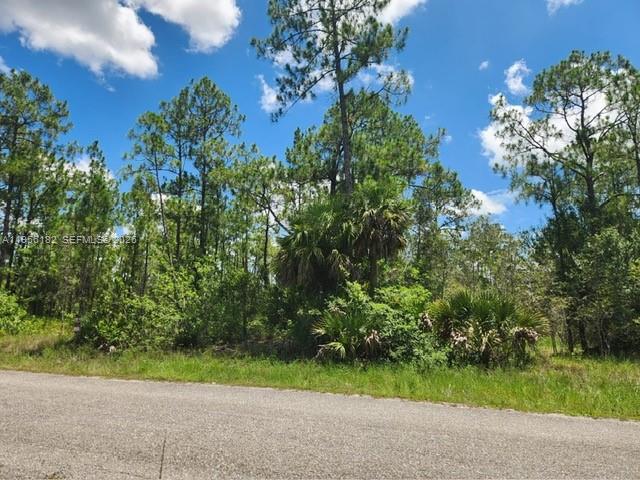 Lehigh Acres - Land