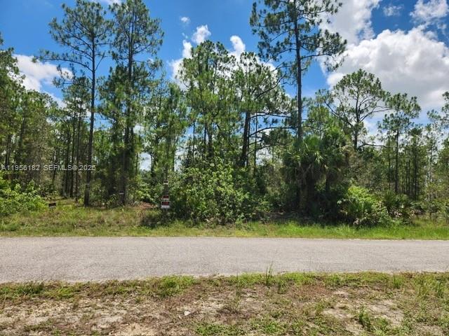 Lehigh Acres - Land