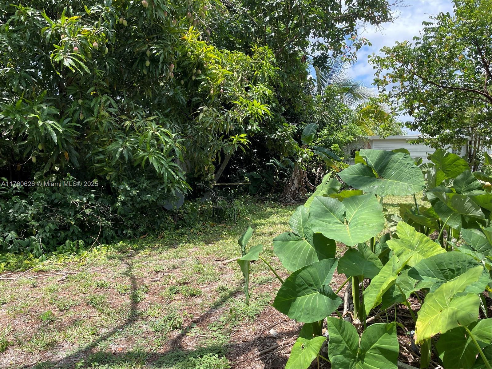 SANDALFOOT COVE SEC 1 - Residential Lease