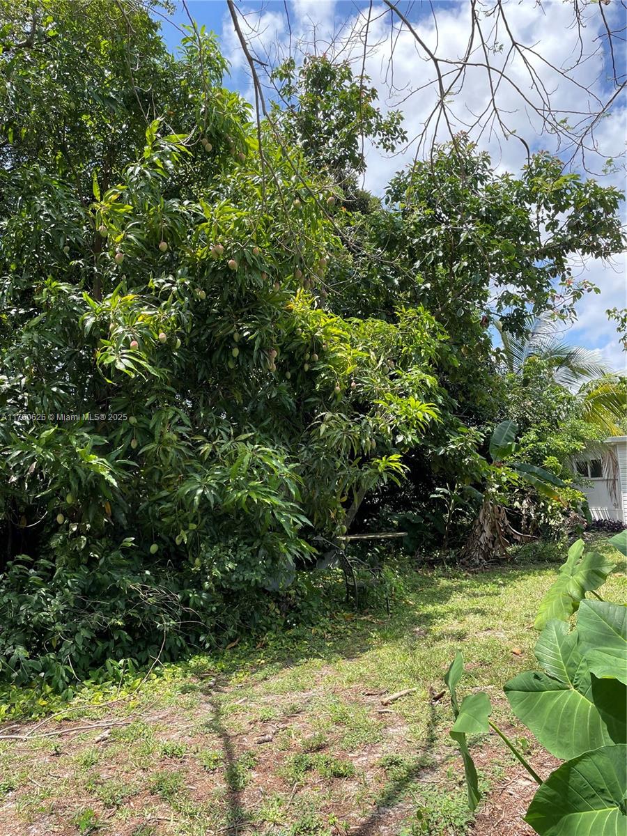 SANDALFOOT COVE SEC 1 - Residential Lease