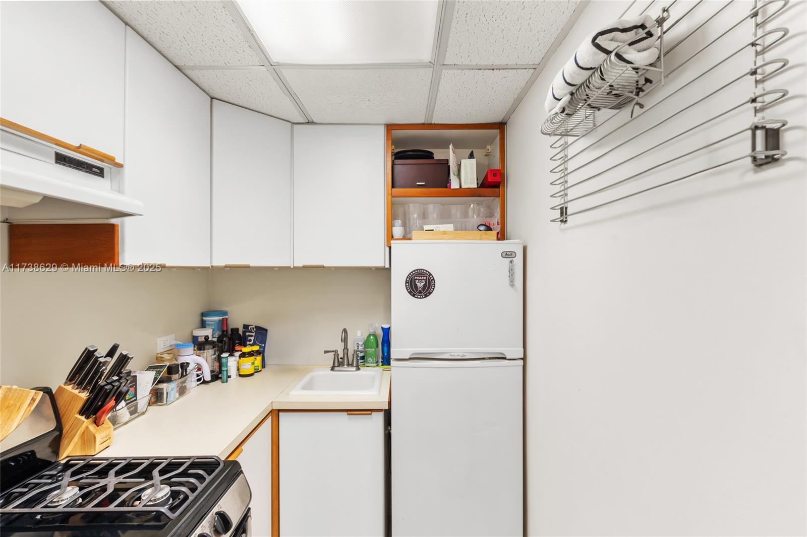 DAVID WILLIAM HOTEL CONDO - Residential
