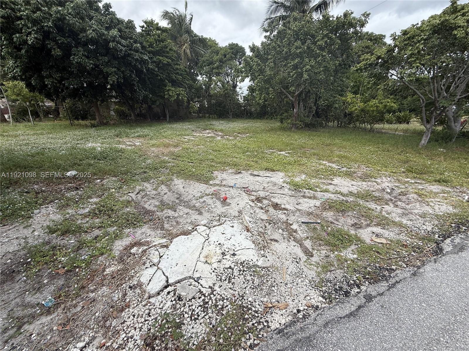 MONTICELLO PARK AMENDED P - Land