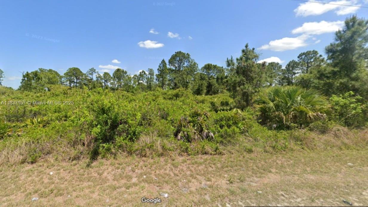 Residential lot in an excellent part of town.