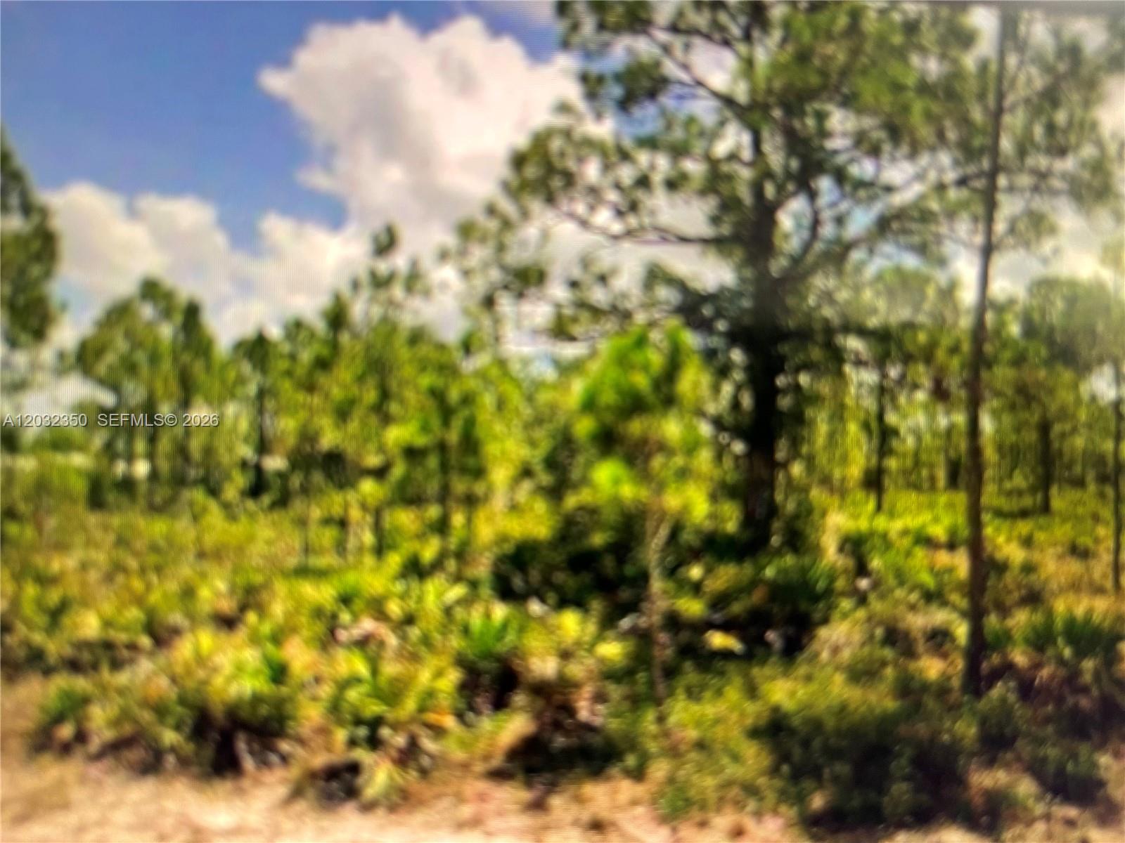 TROPICAL GULF ACRES - Land