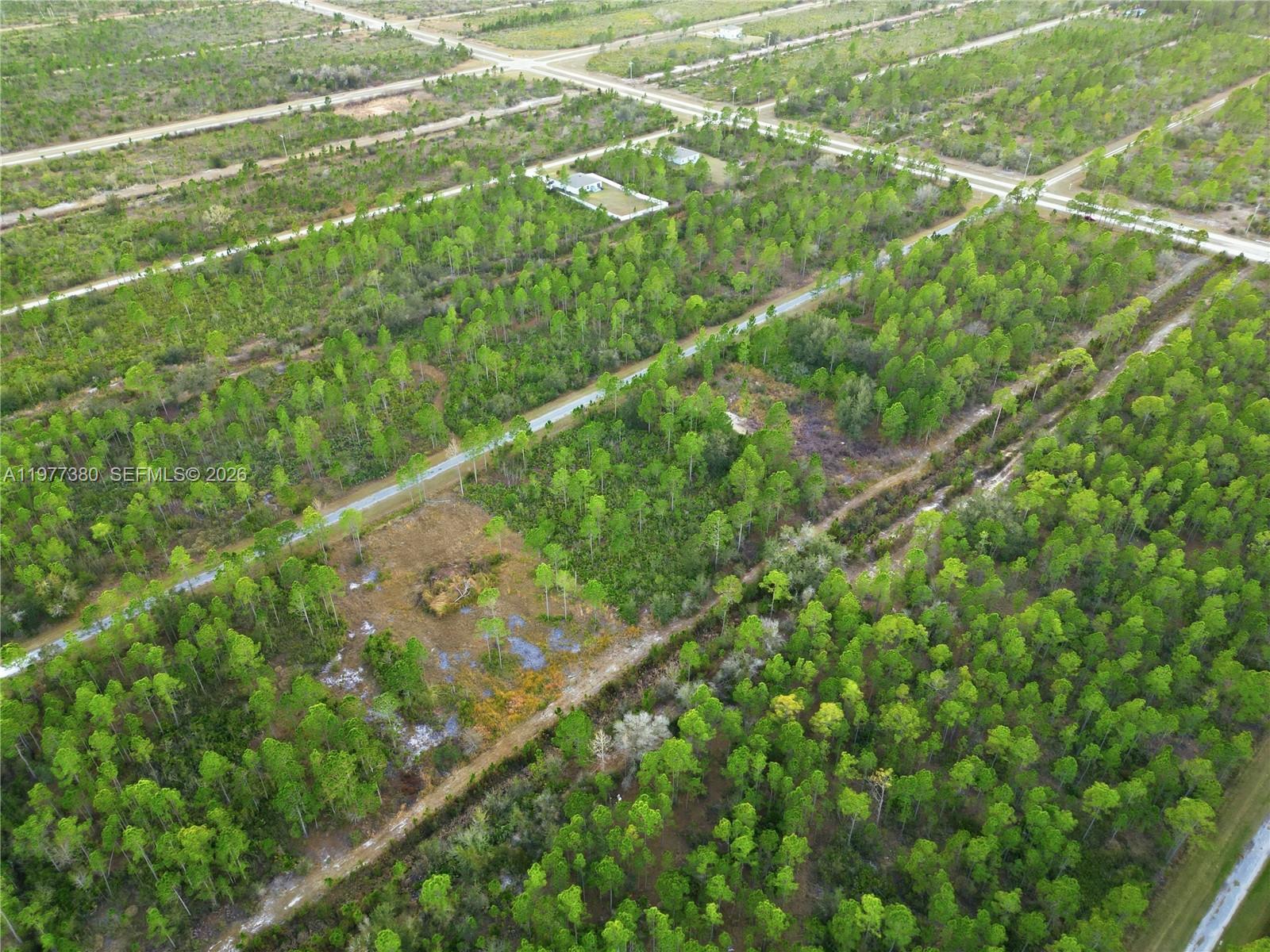 INDIAN LAKE ESTATES - Land