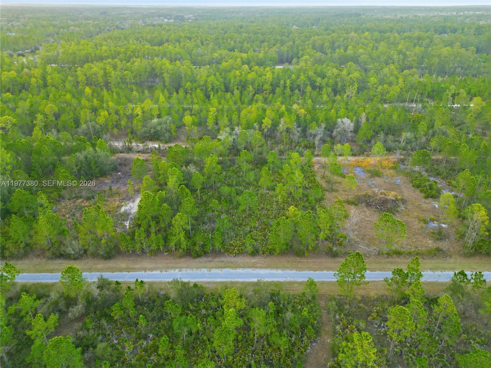 INDIAN LAKE ESTATES - Land