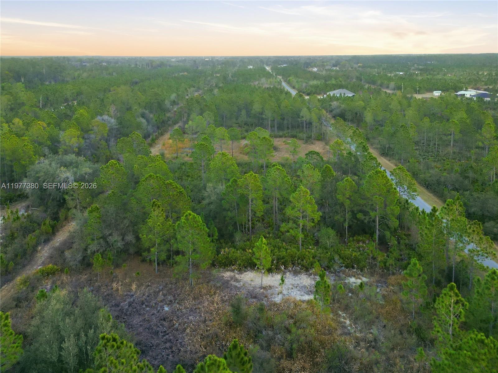 INDIAN LAKE ESTATES - Land