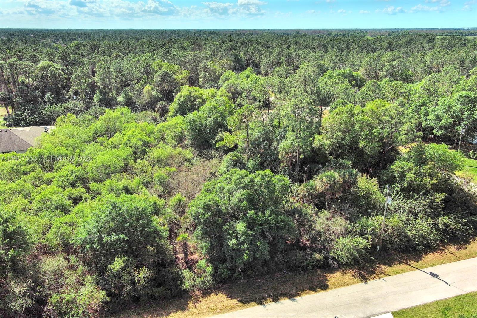 LEHIGH ACRES - Land