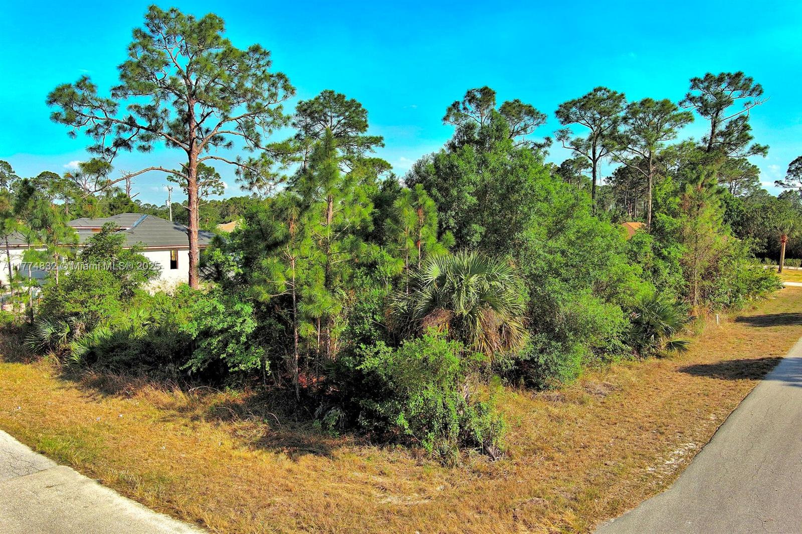Lehigh Acres - Land