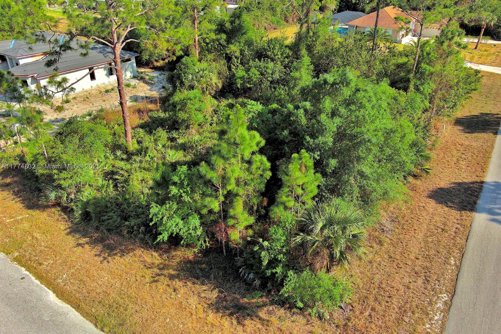 Lehigh Acres - Land