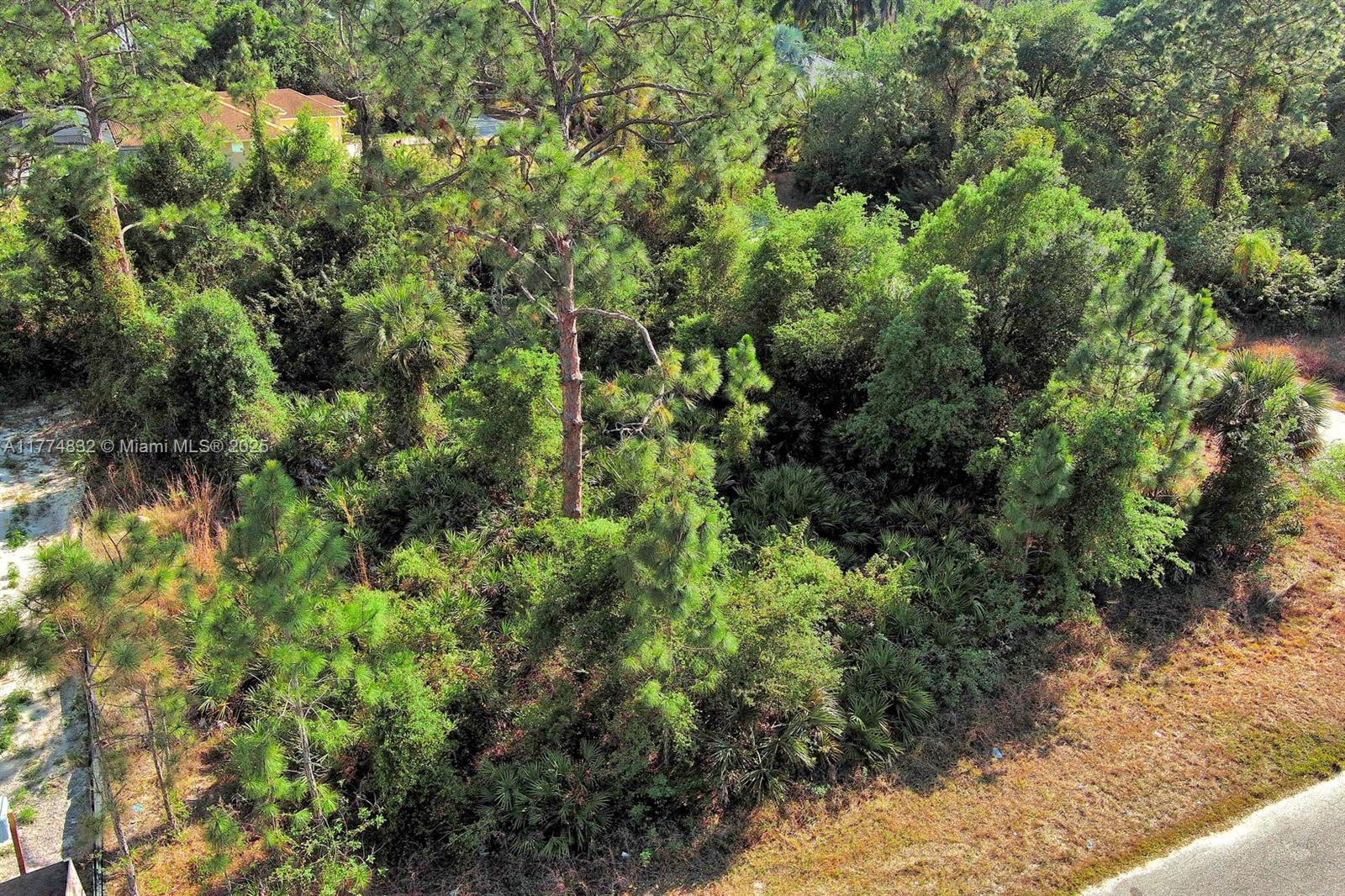 Lehigh Acres - Land