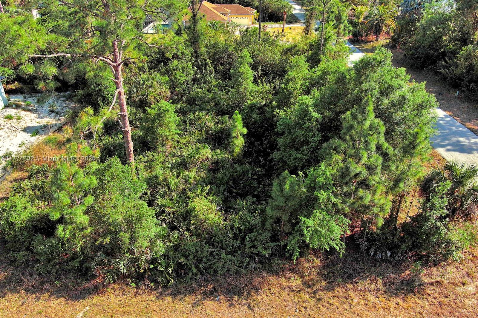 Lehigh Acres - Land