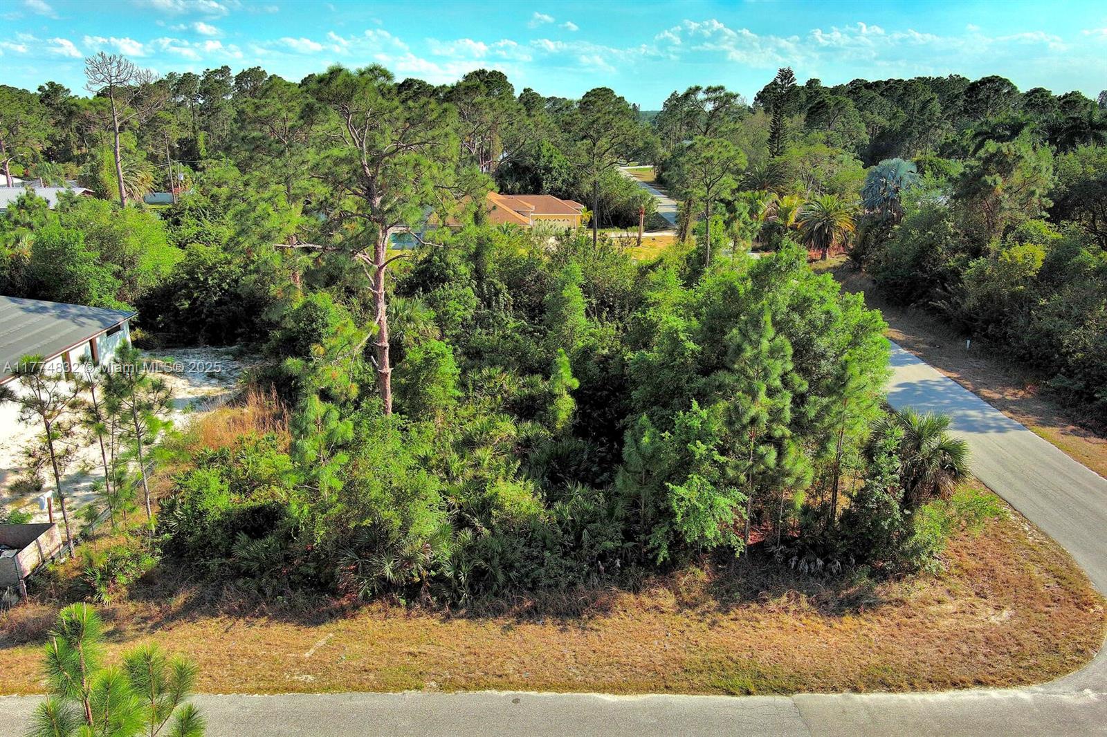 Lehigh Acres - Land