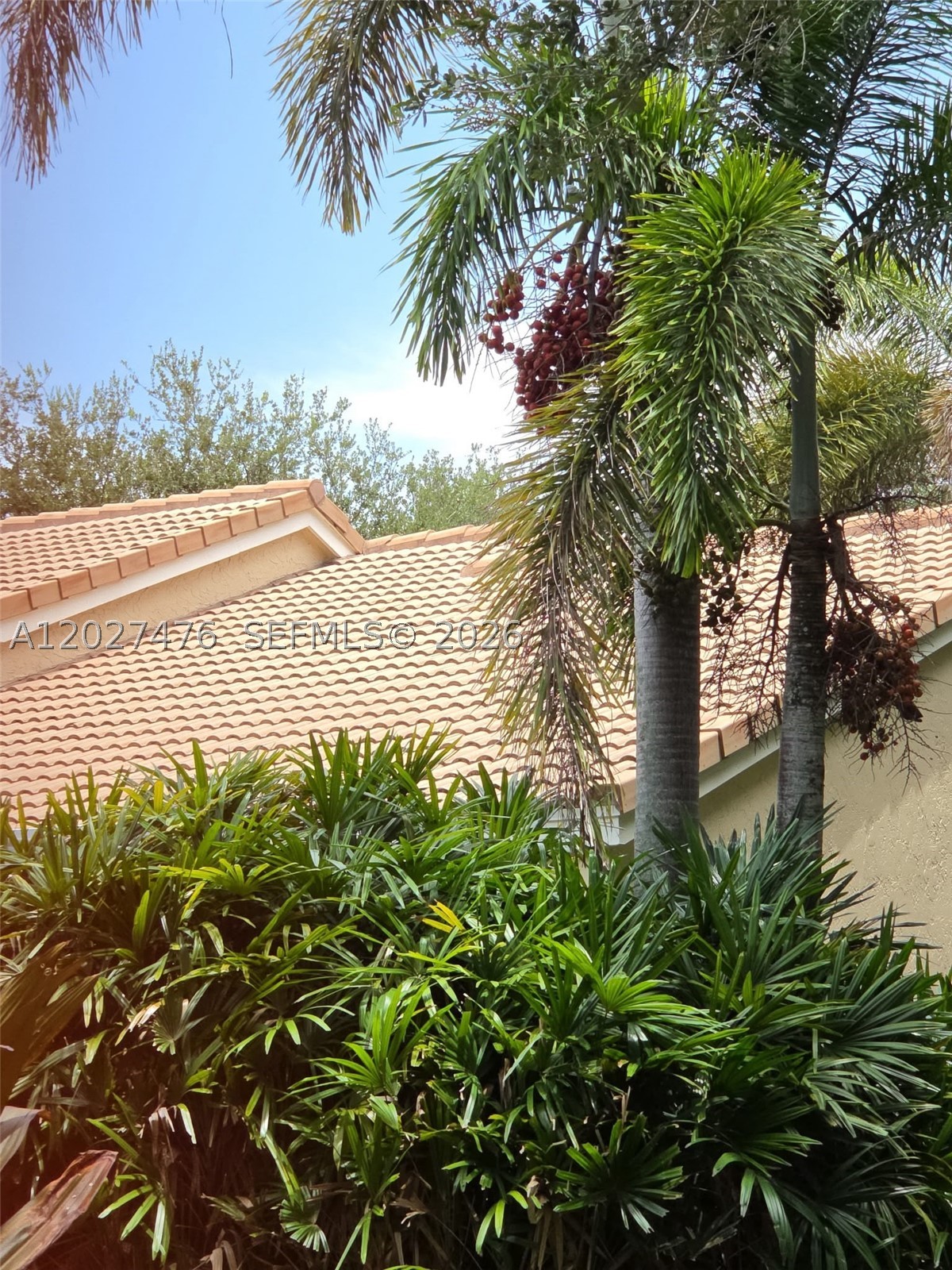 EMBASSY LAKES - Residential