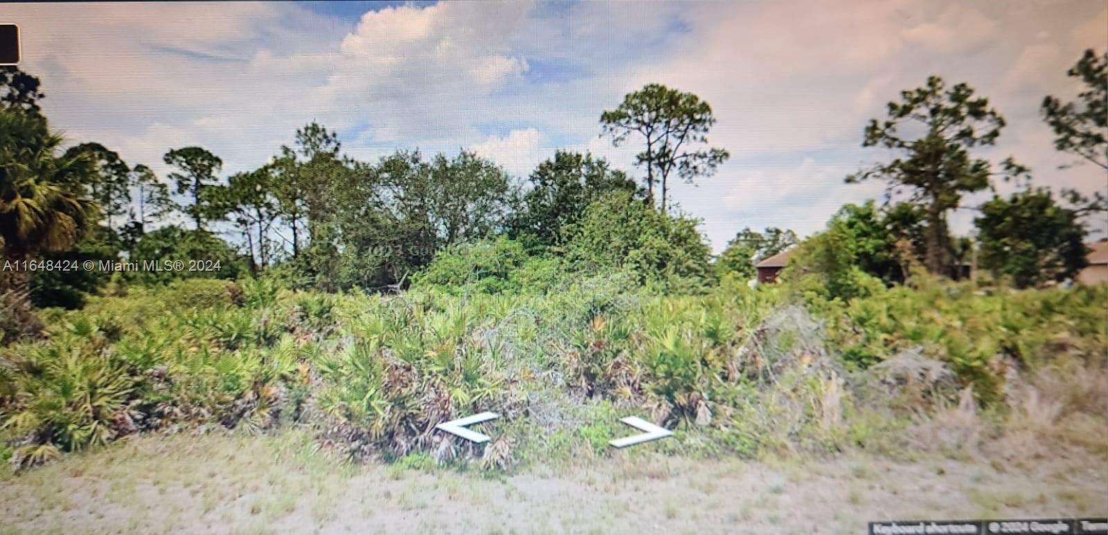 LEHIGH ACRES - Land