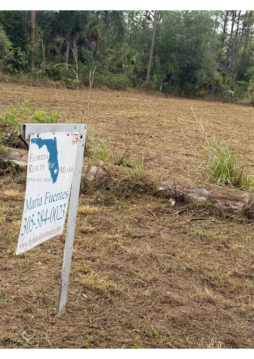 Completely clean lot in lehigh acres. The lot is just minutes away from SR82 and a short drive to the city of Fort Myers.