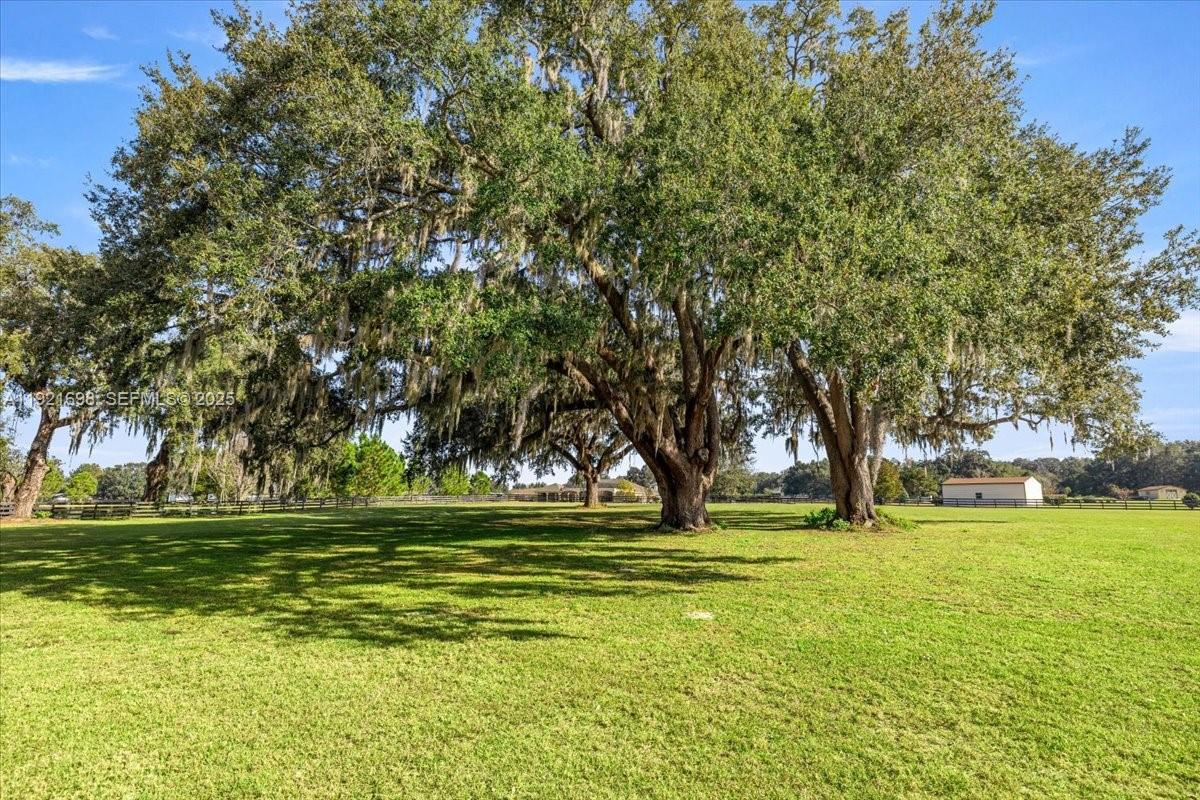 Sumter Crossing - Residential