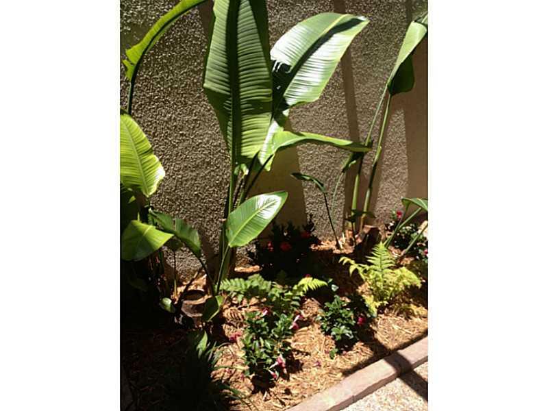 OASIS CONDO NO 3 - Residential Lease