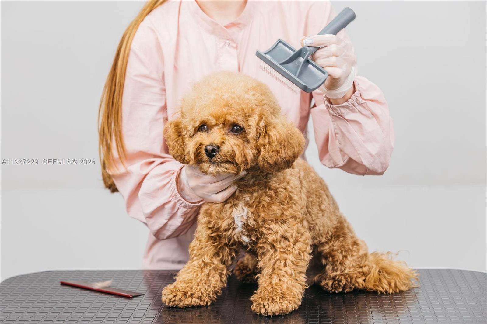 Established Pet Grooming Business – Prime Investment Opportunity
Well-established, fully turnkey pet grooming salon located in a prestigious, high-income neighborhood. The business is fully equipped with professional grooming stations, quality equipment, and tasteful décor, allowing for seamless ownership transition.
The salon benefits from a strong reputation, consistent cash flow, and a loyal, repeat clientele within an affluent market. Its prime location supports steady demand and long-term growth potential, making this an attractive investment for an owner-operator or investor seeking reliable returns in the pet services sector. Van is included