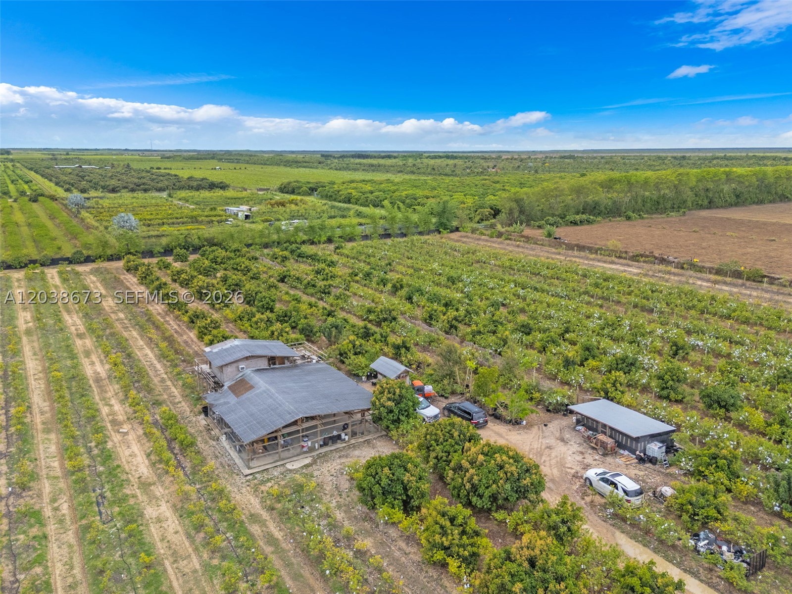 10 ACRES 2 BUILDABLE SITES DIESEL IRRIGATED GUAVA, AND LONGAN GROVE WITH..BAMBOO, LONGBEANS, STARFRUIT AND 60 JUNE PLUMS..TAXS 450 YEAR.. WOW. OVER 8000 TREES.. HIGH PRODUCTION GROVE...GOOD ROCKLAND 40x60 PACKING AND A FORT UP TOP TO TAKE A NAP..RURAL SOUTH DADE YET 10 MINUTES FROM TURNPIKE, BEAUTIFUL EVERGLADES VIEWS FROM TREEFORT...LOCATED OFF 344 ST WEST OF 217 AVE TURN ON 219 AVE THE 1ST STREET PAST 217 AVE... GO NORTH LOOK TO THE WEST. FOR THE  TREEHOUSE IN THE AIR. A MAIN AND GUEST HOME CAN BE BUILT PER 5 ACRE PLUS ANY ADDITIONAL AGRI BUILDINGS.RECENTLY PLANTED 2000 NEW GUAVAS.. TO ENSURE A NICE PRODUCTION. ON SITE IN ADDITION TO GROVES.