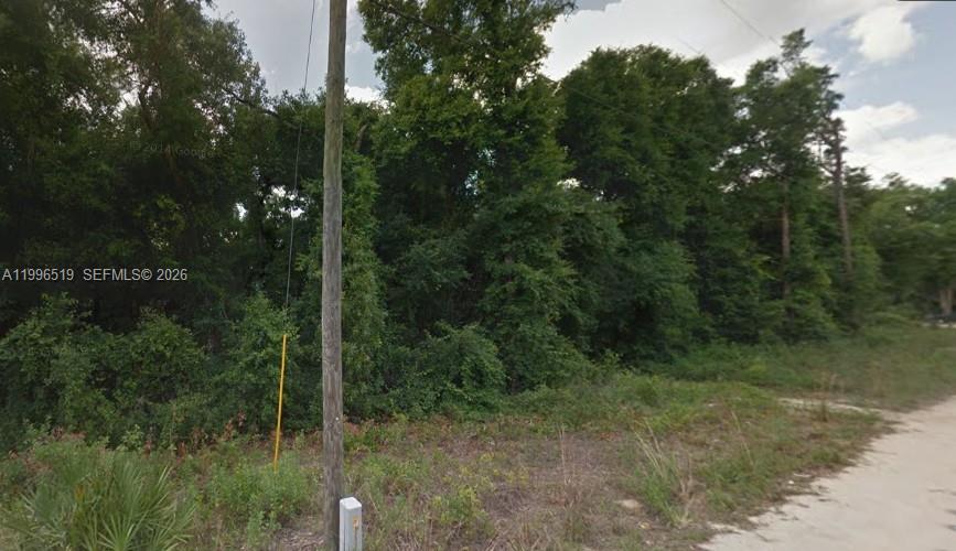 LAND-O-LAKES ESTATES - Land