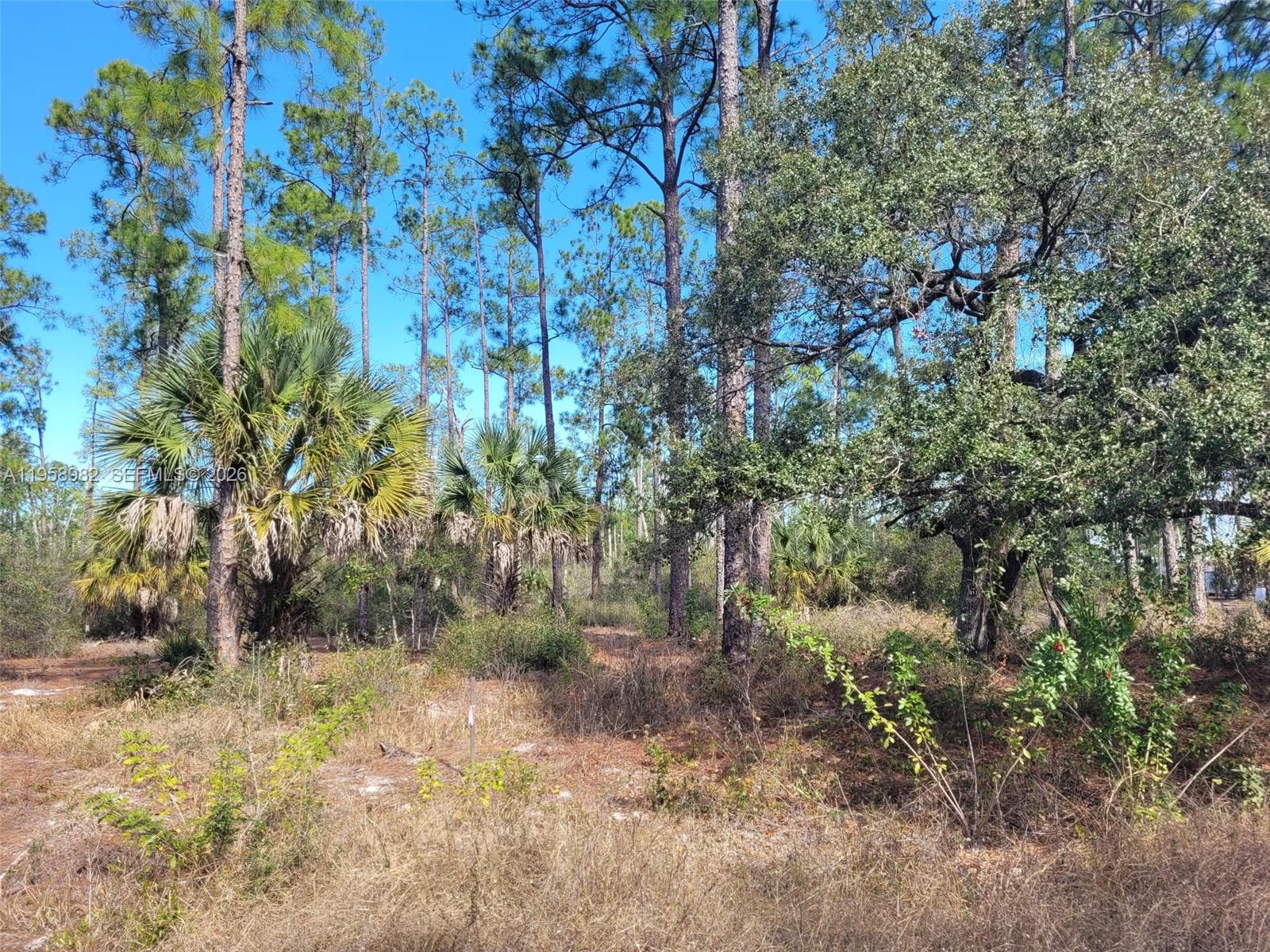 Get back to nature on this beautiful 1.25 acre parcel located in Lehigh Properties. Located only a couple minutes to the Hendry/Lee County line this parcel is perfect for those wanting to get way from the traffic, lights and sounds of city living and enjoy a cleaner and more tranquil lifestyle. Electric lines run past the property, no issues with pulling in electric. This parcel will require a well and septic for your home. Take a Ride, Take a Look. Be delighted today! (More pictures will be uploaded in the next few days.)