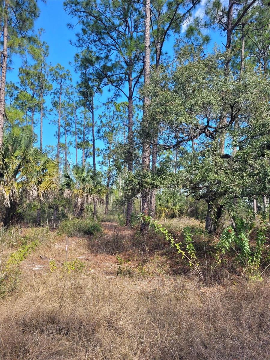Lehigh Properties - Land