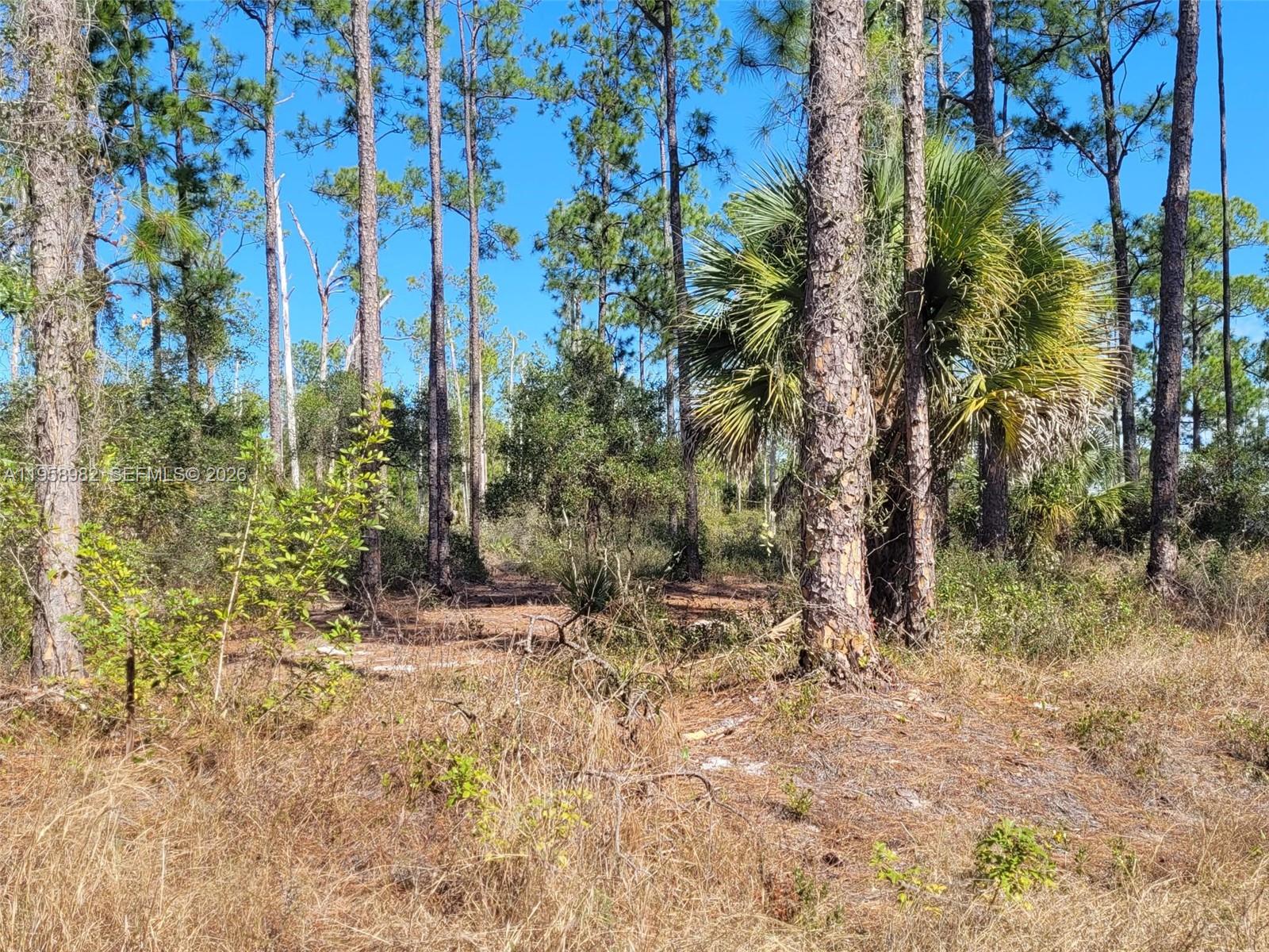 Lehigh Properties - Land