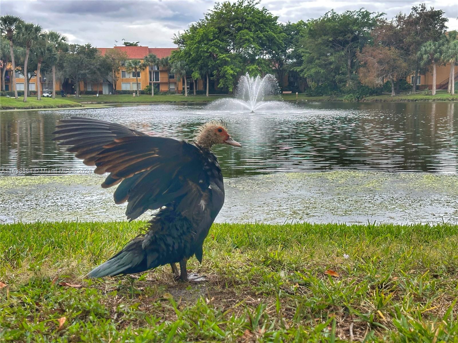 LAKES OF JACARANDA CONDO - Residential