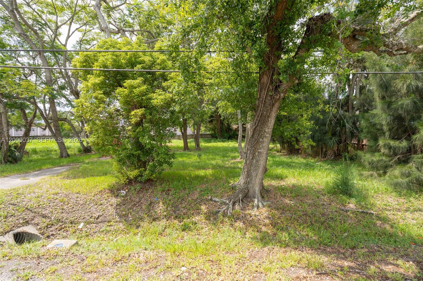 LAKE BARTON PARK - Land