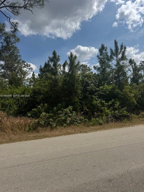 LEHIGH ACRES - Land