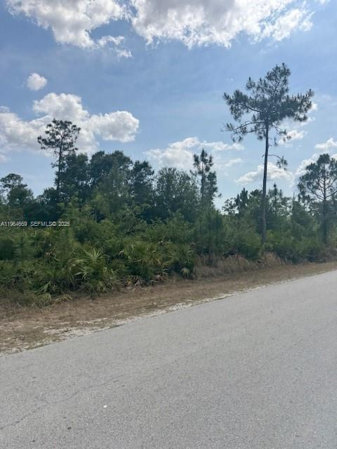LEHIGH ACRES - Land