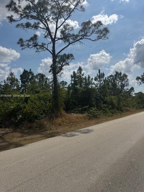 LEHIGH ACRES - Land
