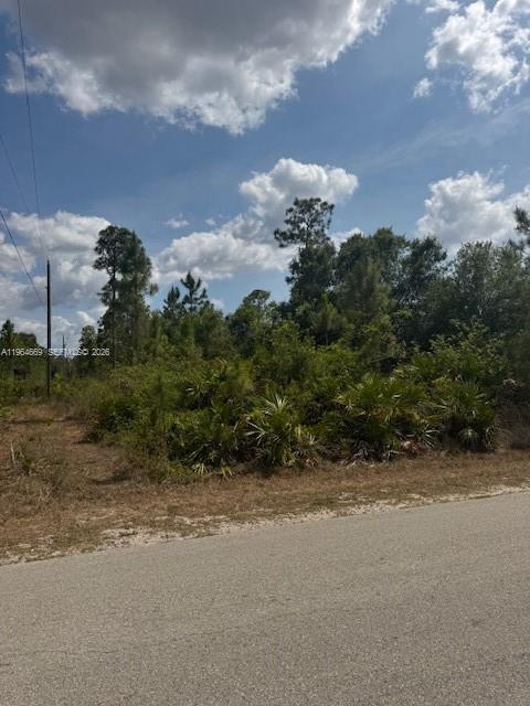 LEHIGH ACRES - Land