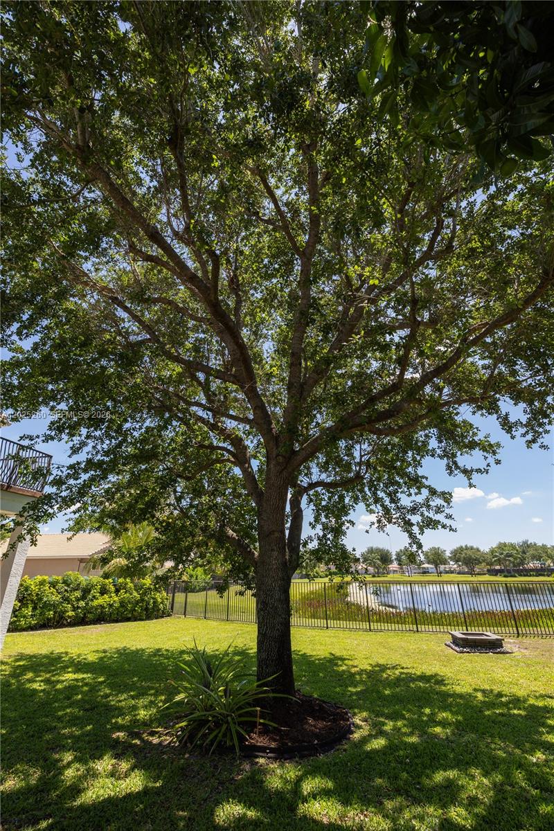 CANYON LAKES 6 - Residential Lease