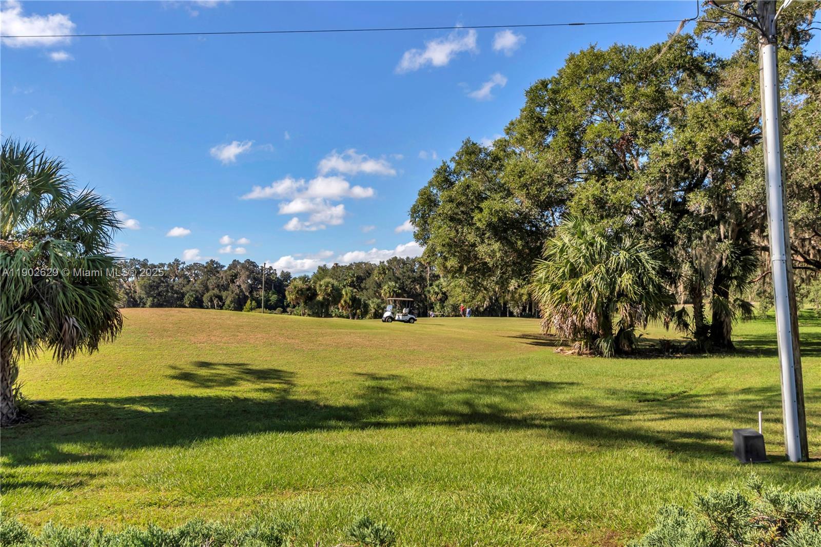 Silver Springs Shores - Residential