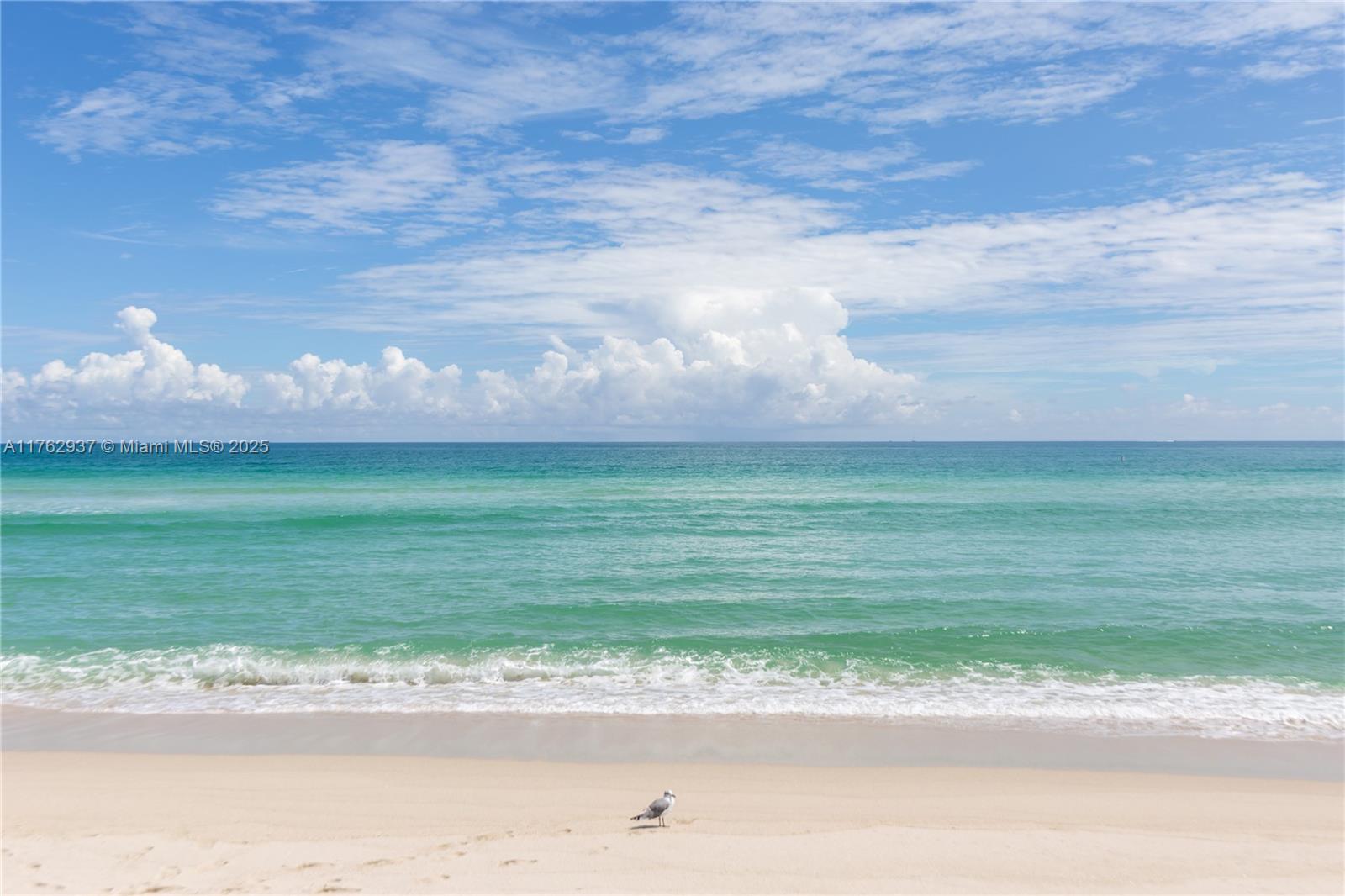CASTLE BEACH CLUB CONDO - Residential