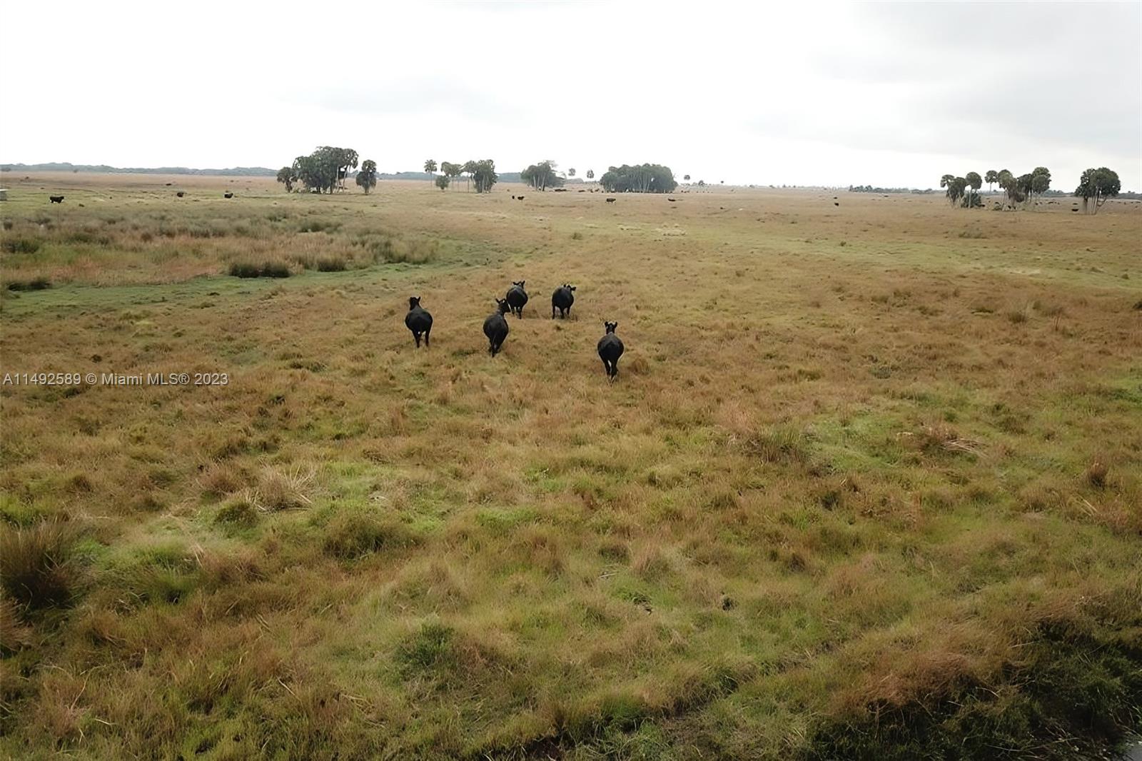 NO SUBDIVISION - Land