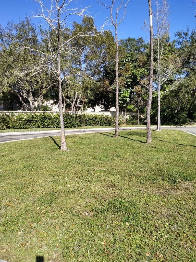 PINE RIDGE SOUTH ADDITION - Land