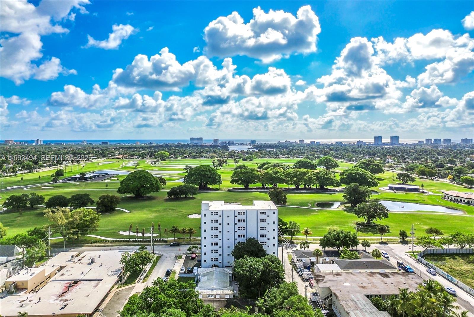 GORGEOUS CORNER Apartment with DIRECT UNOBSTRUCTED Golf Course Views! Open Floorplan, Bright Natural Light, High Ceilings. Enjoy the Morning Sunrise on Large Peaceful Balcony. Perfect Location Close to Young's Circle / Downtown Hollywood. EASY BUILDING = Currently No Pending Litigation and No Current or Planned Special Assessments. 40 Year Recertification Completed! Amazing Location: Tons of Restaurants, Shopping and More, 5 Min Drive to Hollywood Beach + Boardwalk, 7 Mins to Fort Lauderdale Airport! Call Now!